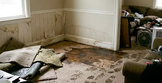 Why Choose Pompano Beach Water Damage Pro For Water Damage Restoration Services in Pompano Beach, FL?