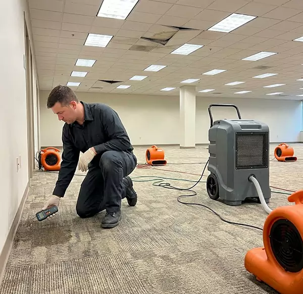 Why Businesses Choose Pompano Beach Water Damage Pro for Commercial Water Damage in Pompano Beach, FL?
