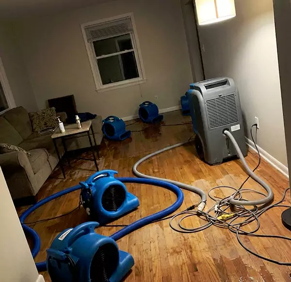 Why Homeowners & Businesses Choose Pompano Beach Water Damage Pro for Emergency Water Restoration in Pompano Beach, FL?