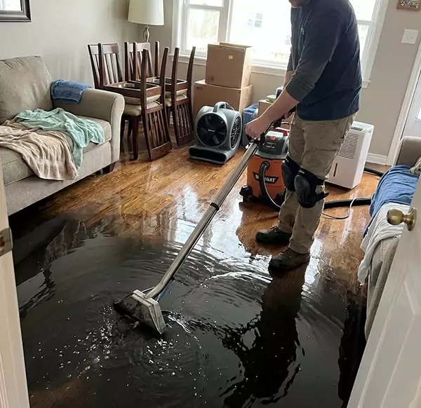 Why Homeowners & Businesses Choose Pompano Beach Water Damage Pro for Flood Restoration in Pompano Beach, FL?