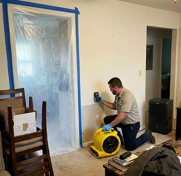 Why Homeowners & Businesses Choose Pompano Beach Water Damage Pro for Water Remediation in Pompano Beach, FL?