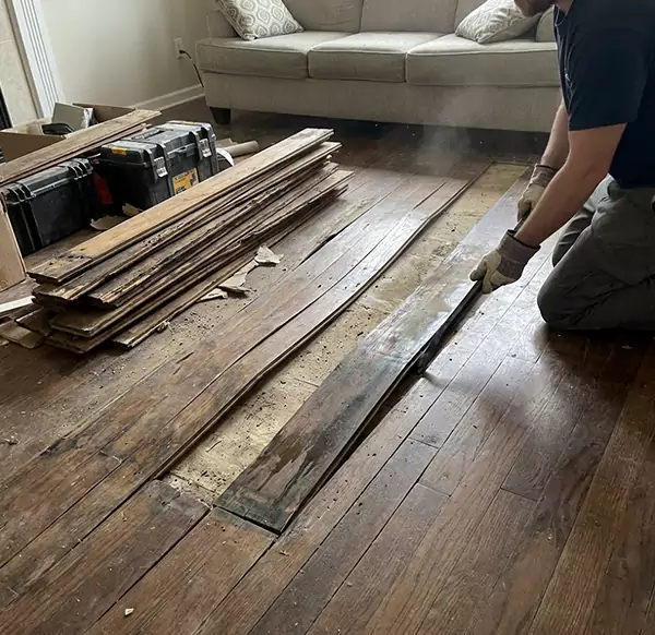 Why Choose Pompano Beach Water Damage Pro for Wood Floor Water Damage Repair in Pompano Beach, FL?